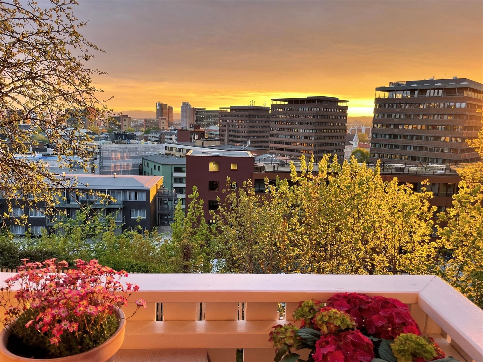 Og er der til den går ned rundt 2100/22 på sommerstid Galleribilde