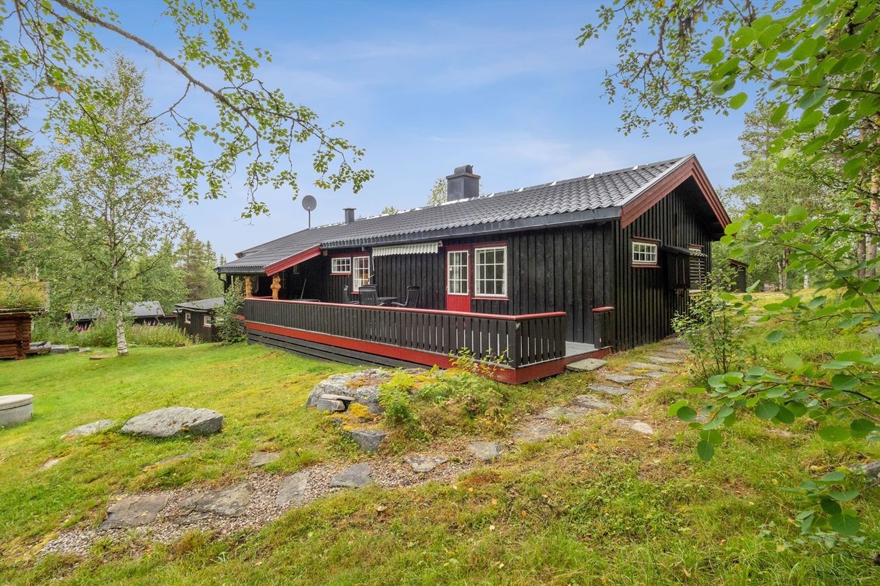 Fasade av hytta. Galleribilde