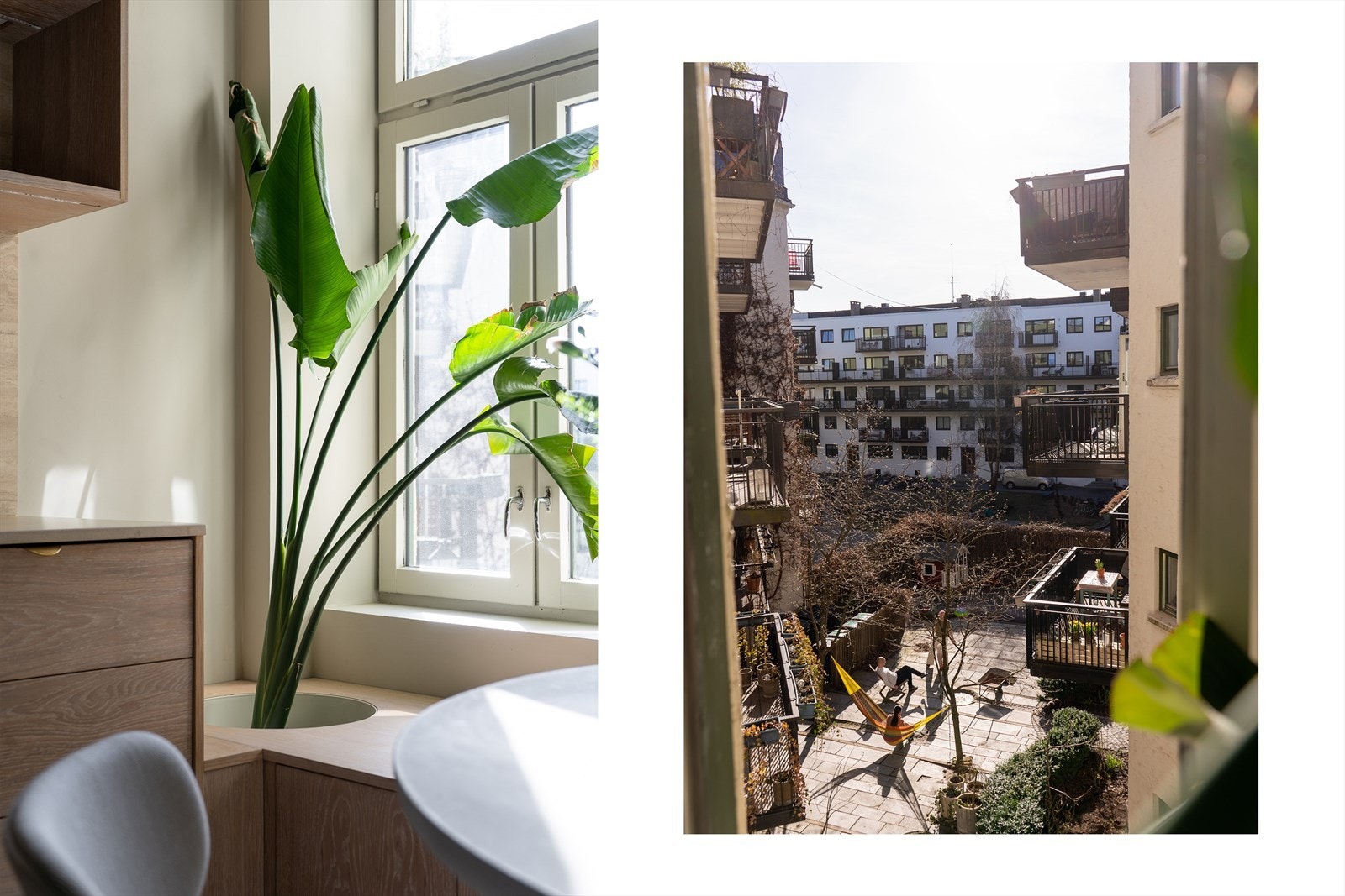 Hyggelig vindu med pent utsyn utover bakgården Galleribilde