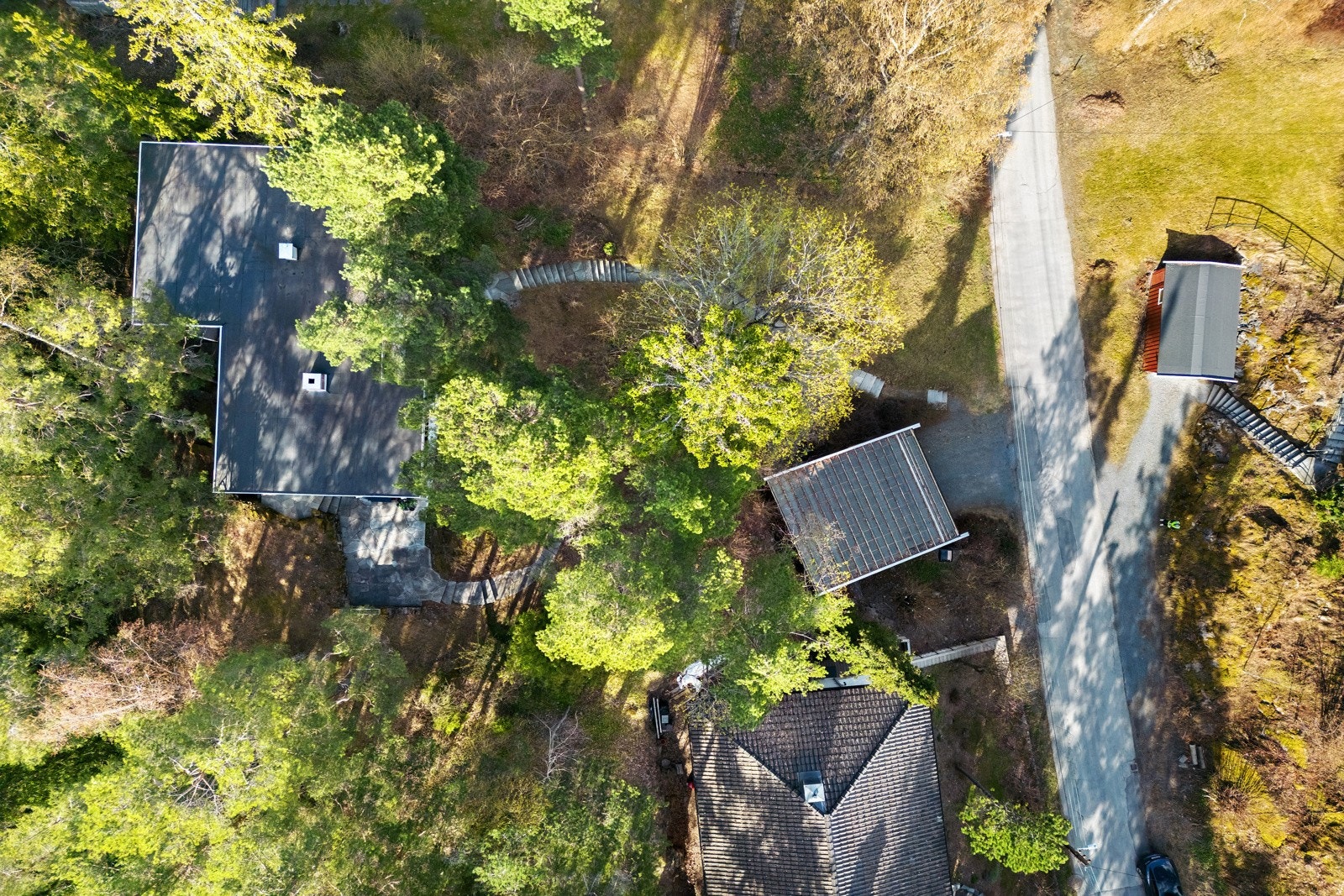 Oversikt. Deler av eiendommen er naturtomt. Et skogholt mot nord ligger i et brattere terreng. Galleribilde