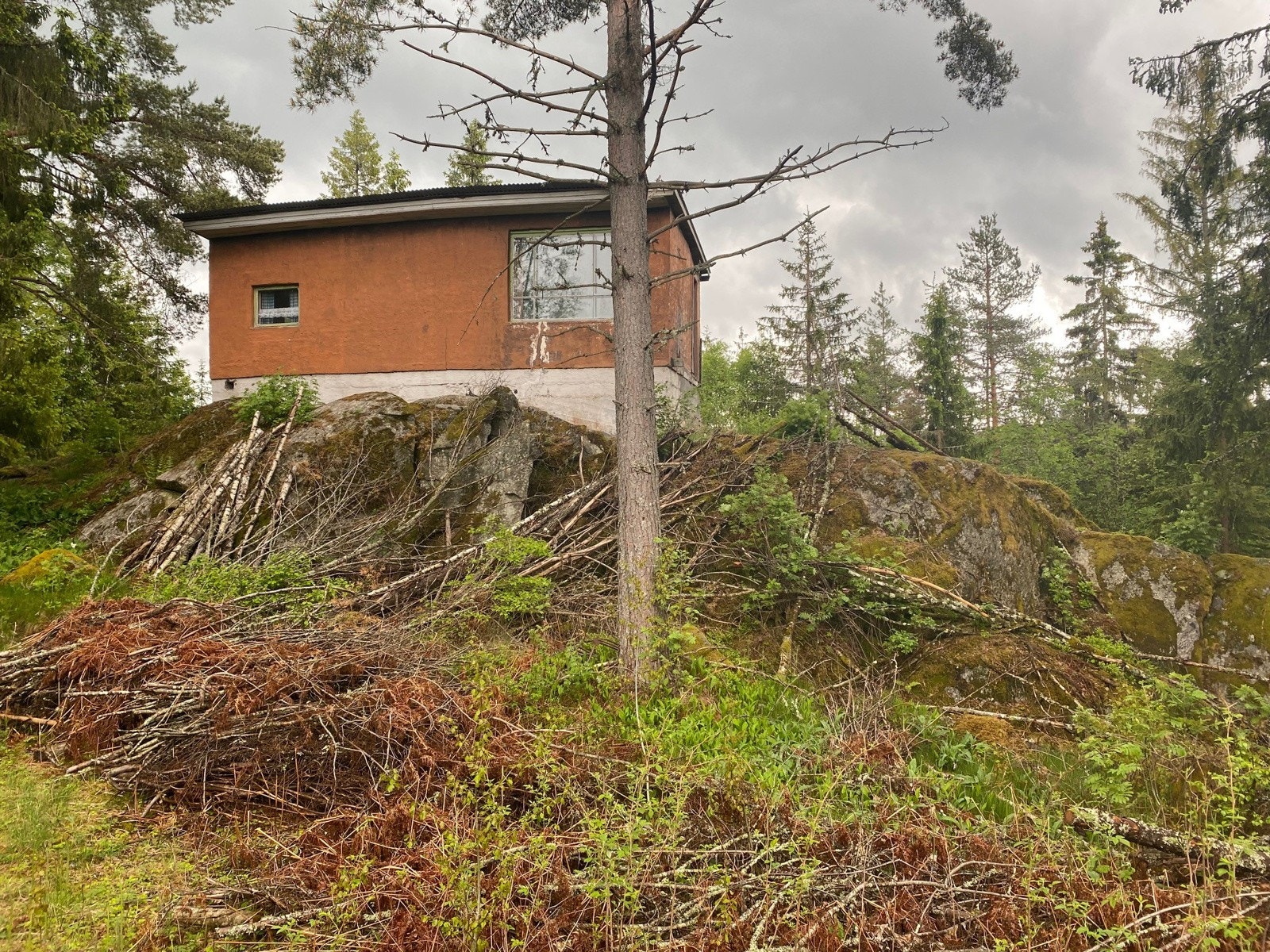 Bebyggelsen er lagt til en høyde midt på tomten (fjell) Galleribilde