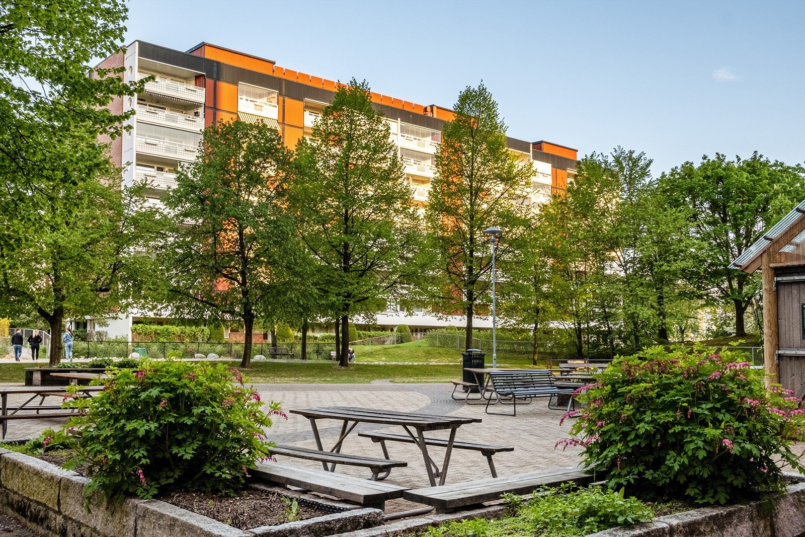 Borettslaget har store uteområder med plen, beplantning, internveier og sittegrupper Galleribilde