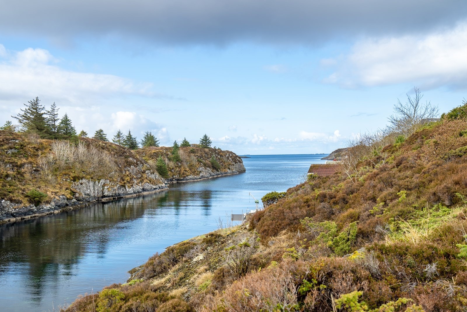 Utsikt fra tomten Galleribilde
