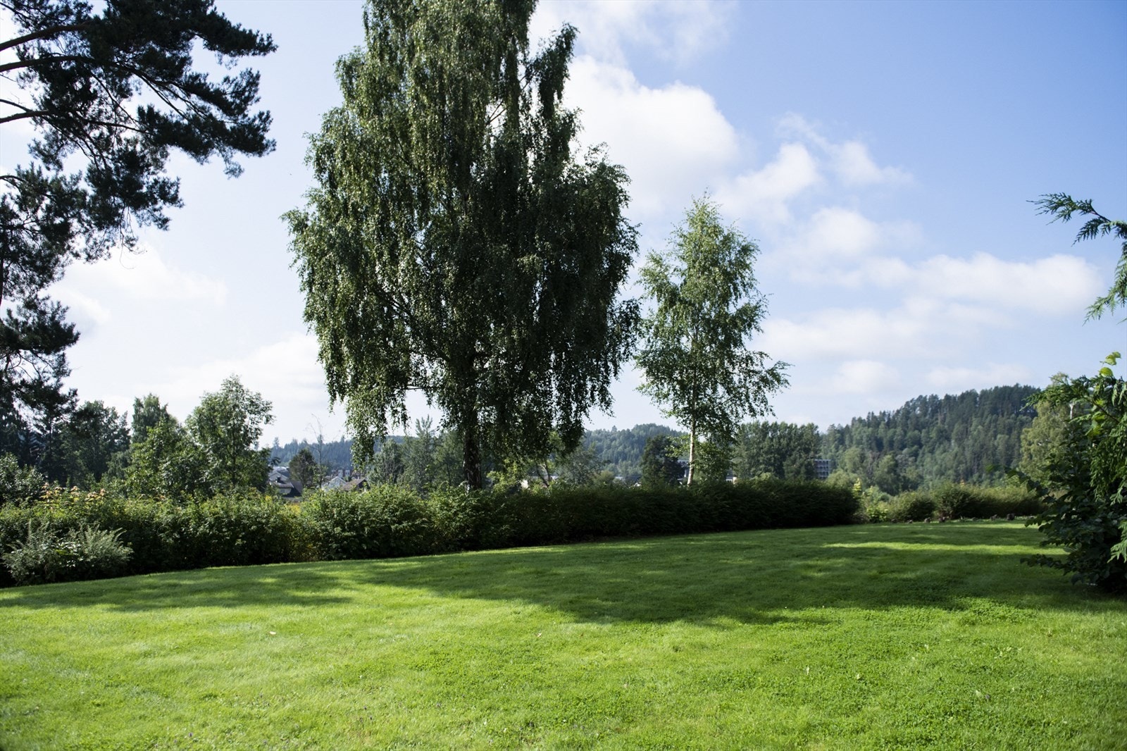 Usjenert og opparbeidet hage mot sør. Galleribilde