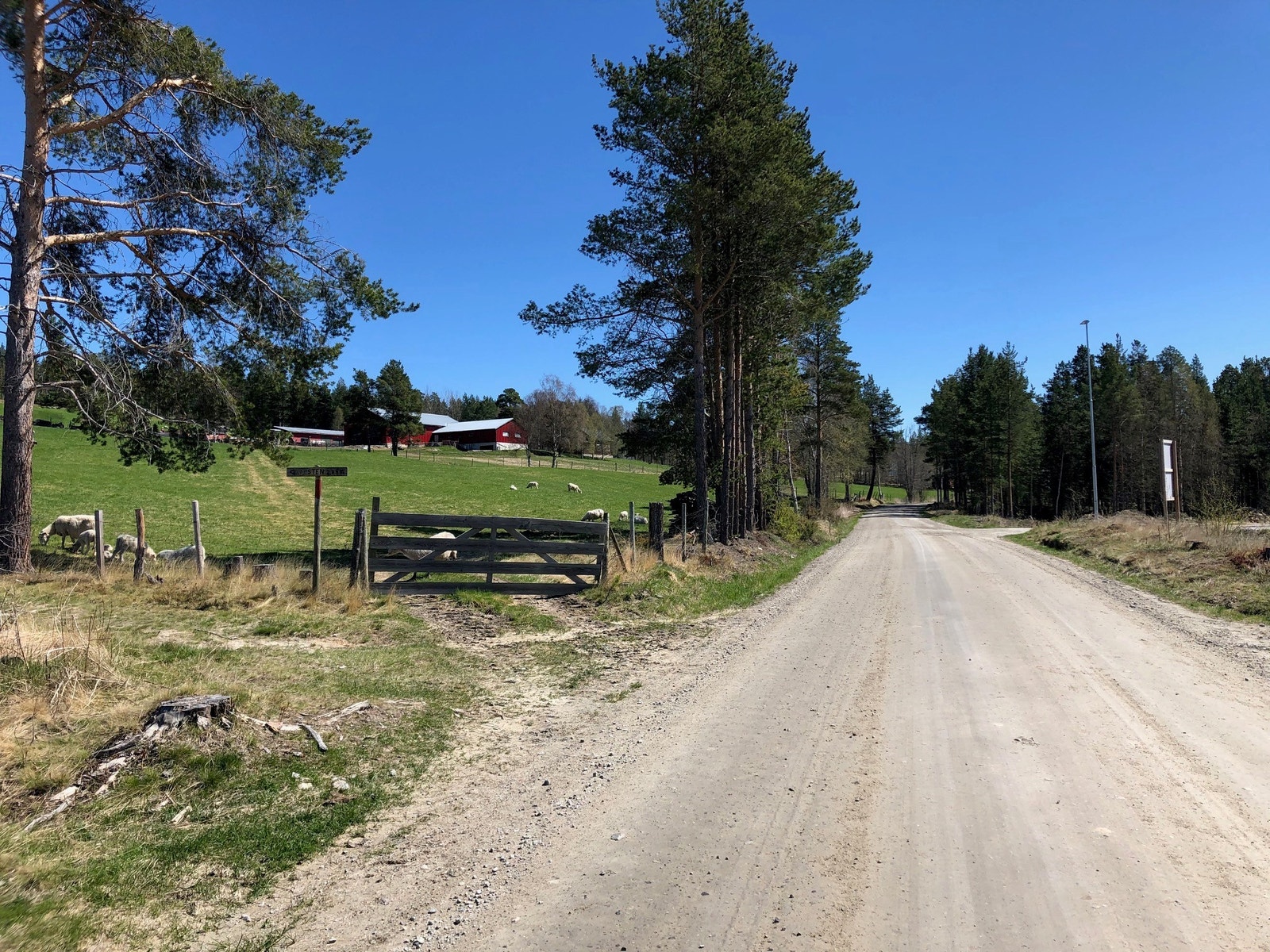 Vei en opp til turmålet Sten er rett ved Spurvtrøa Galleribilde