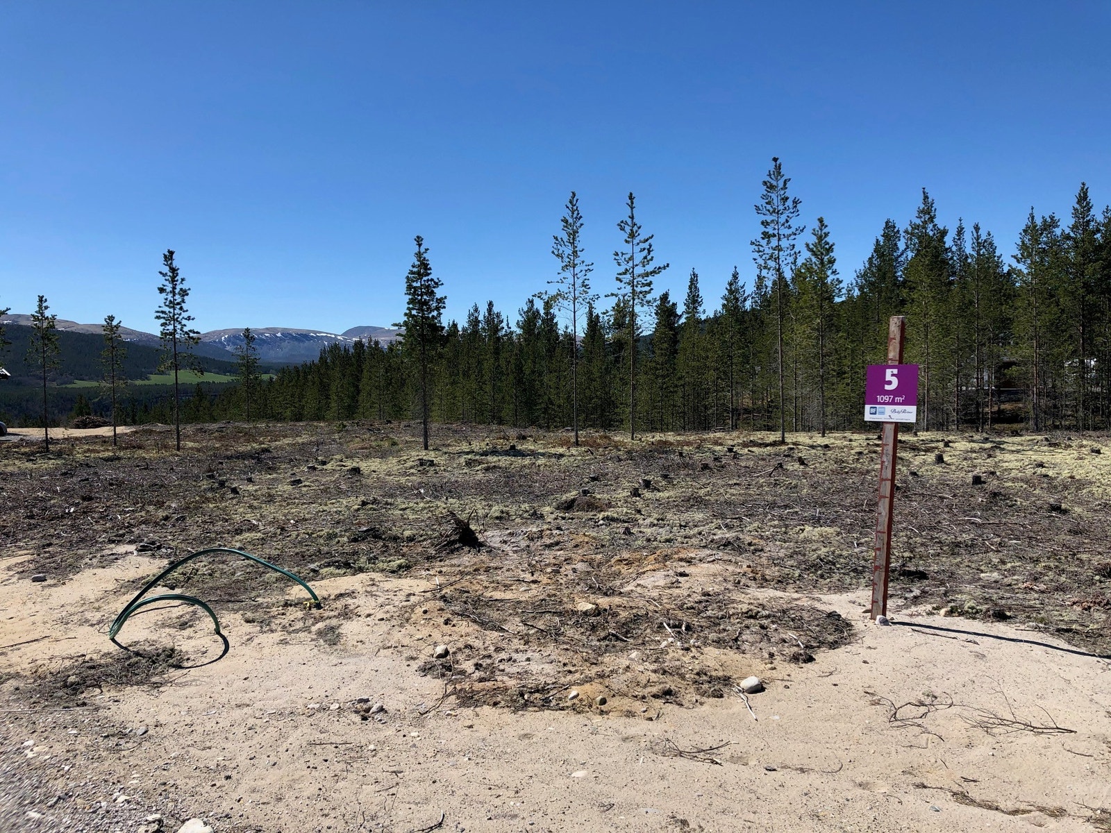 Utsikt fra de ledige tomtene Galleribilde