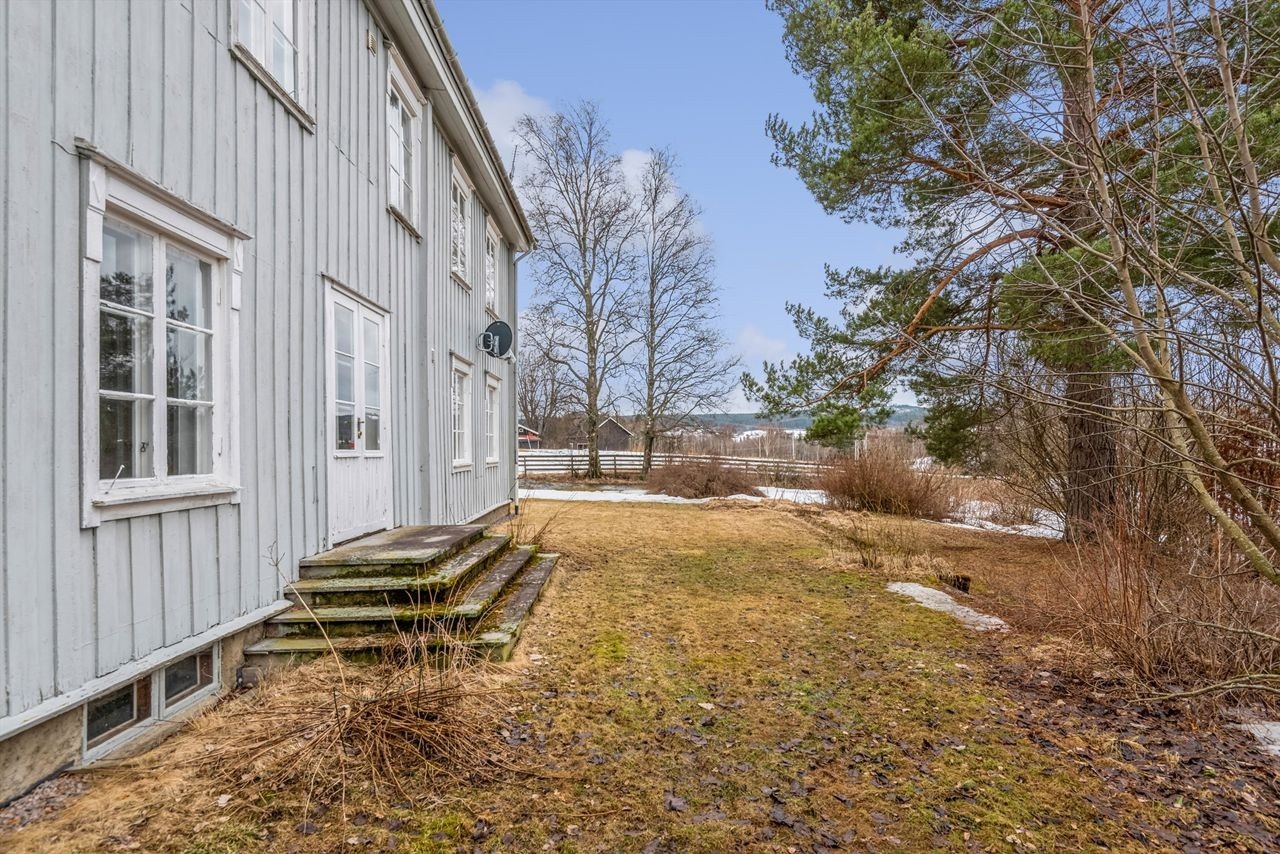 Opparbeidet tomt hvor vegetasjonen hovedsakelig er plen, beplanting og noe skog Galleribilde
