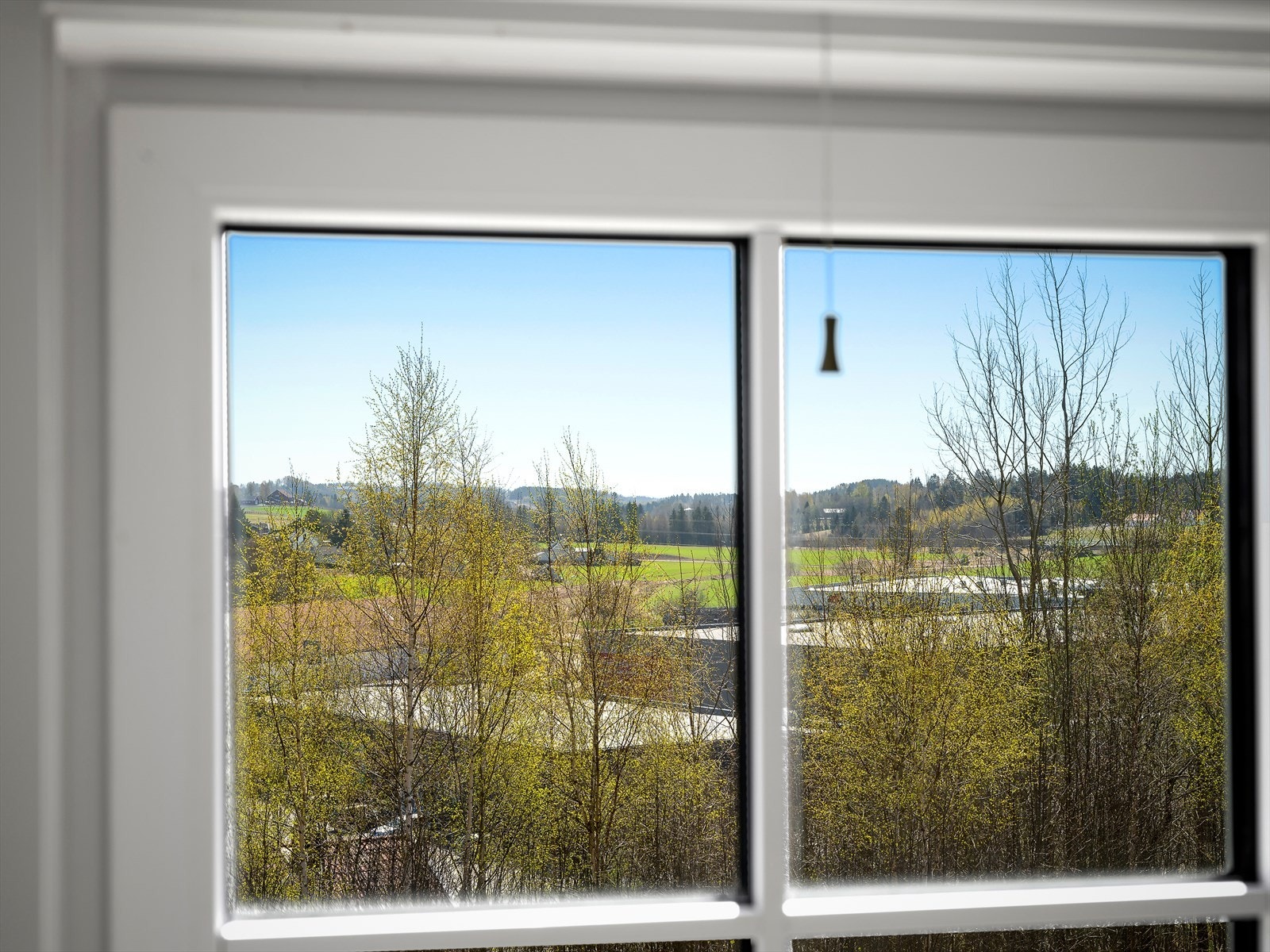 Utsikt Galleribilde