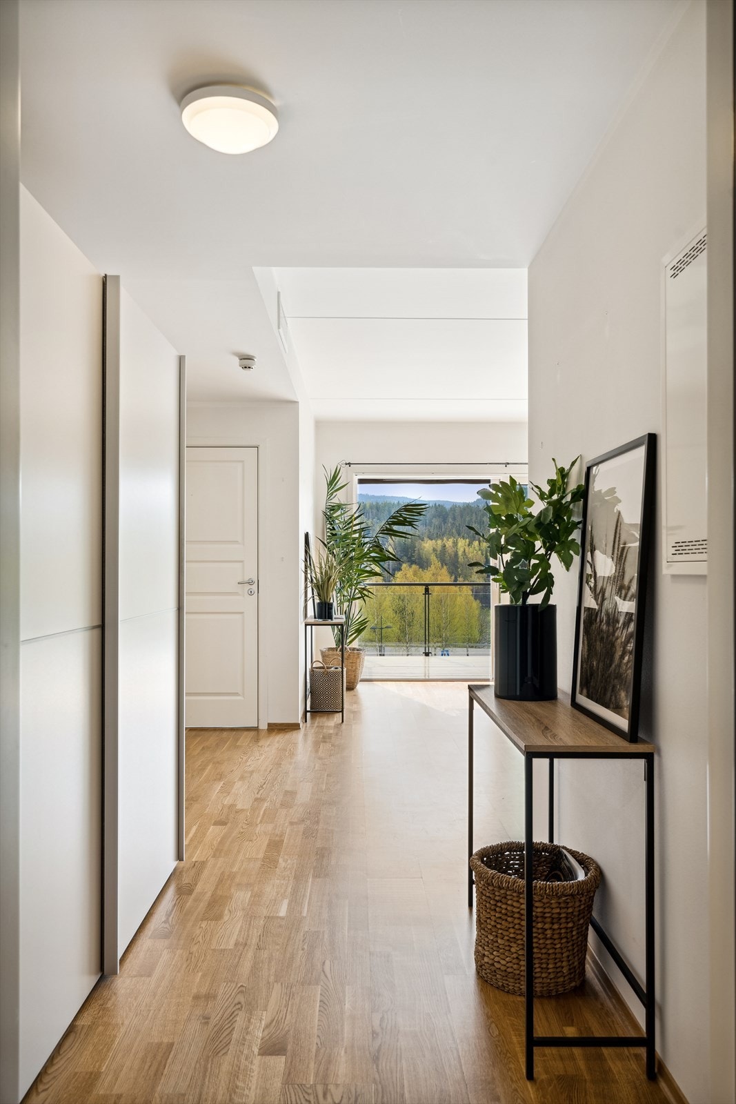 Her er parkett på gulv og malte vegger. Galleribilde
