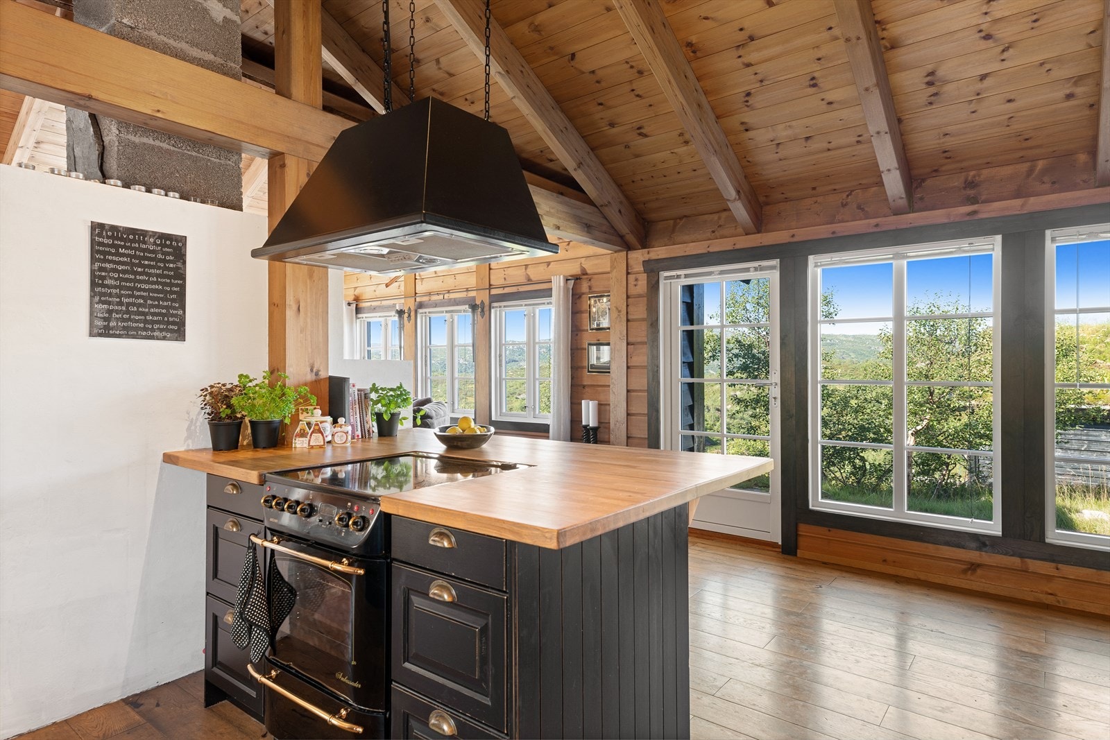 Her kan man lage mat mens man nyter utsikten over fjellheimen. Galleribilde