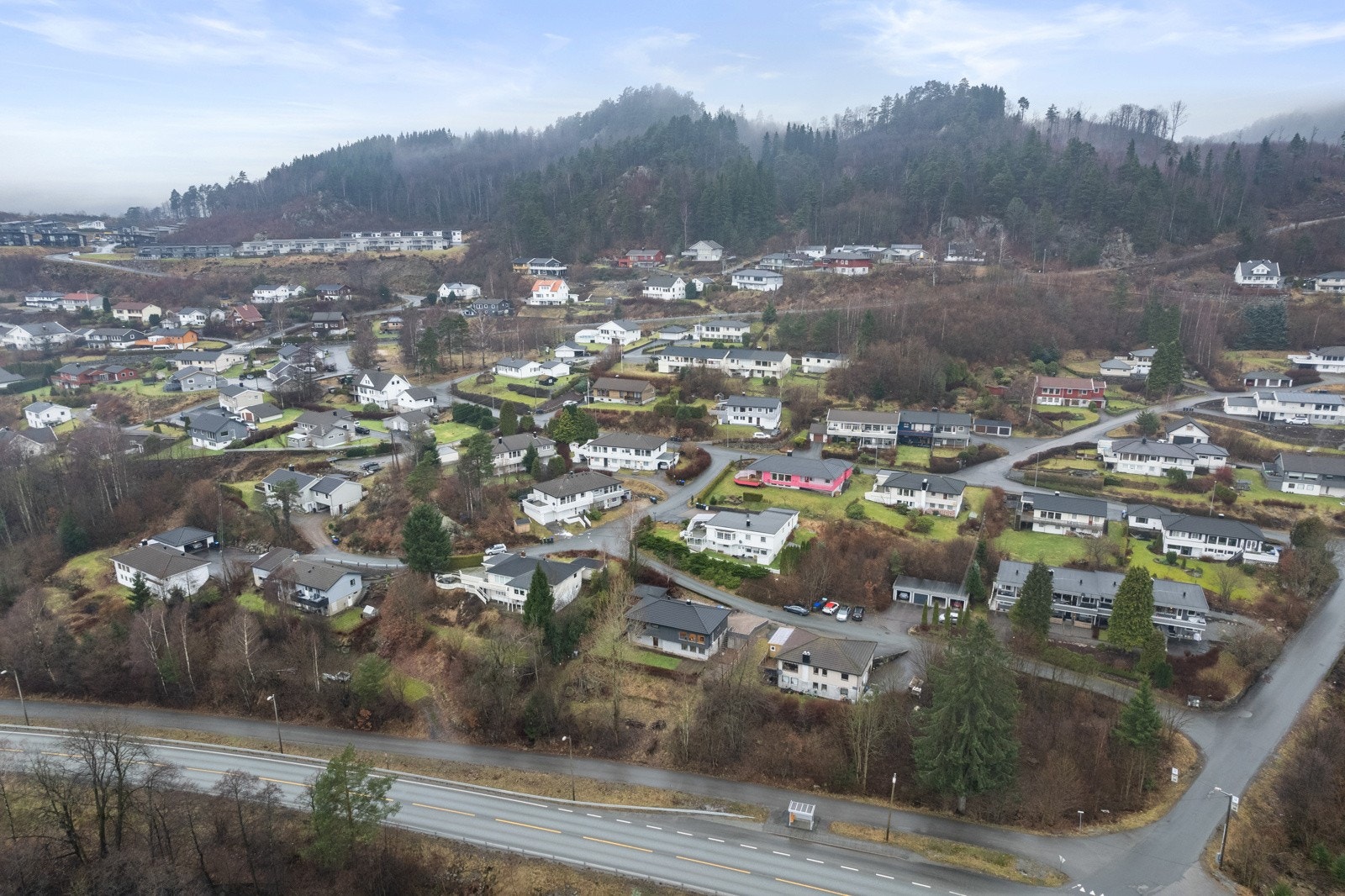 4897783_1-wsiqeb1.jpg Galleribilde