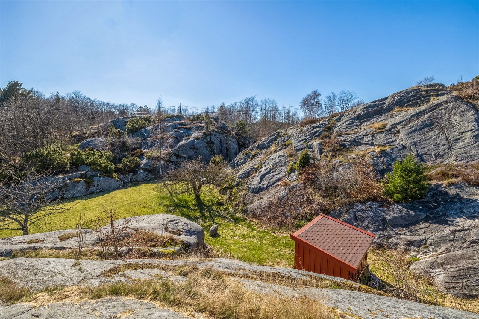 Den fine og usjenerte hagen med stor plen Galleribilde