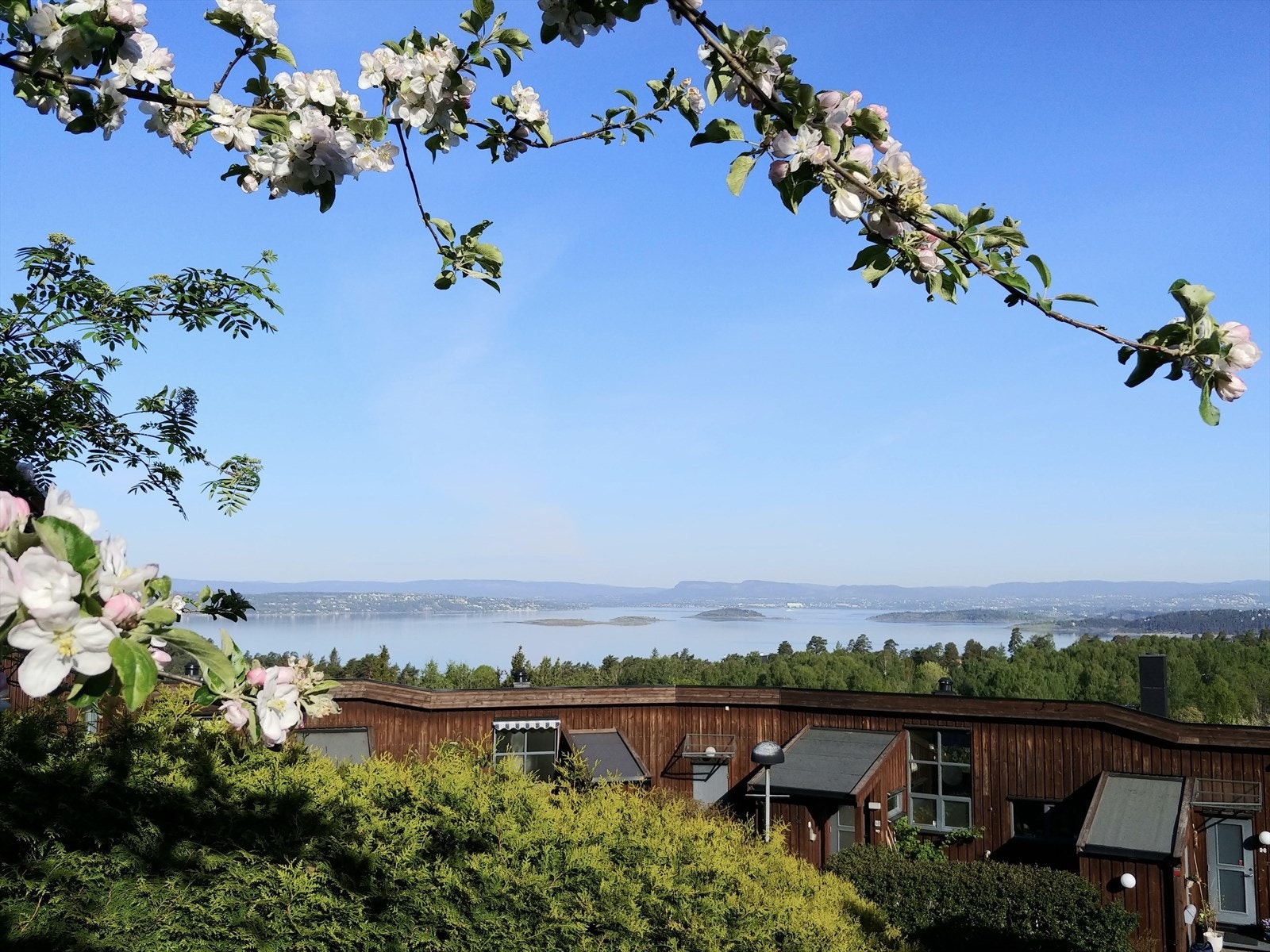 Utsikt fra borettslagets tomt Galleribilde