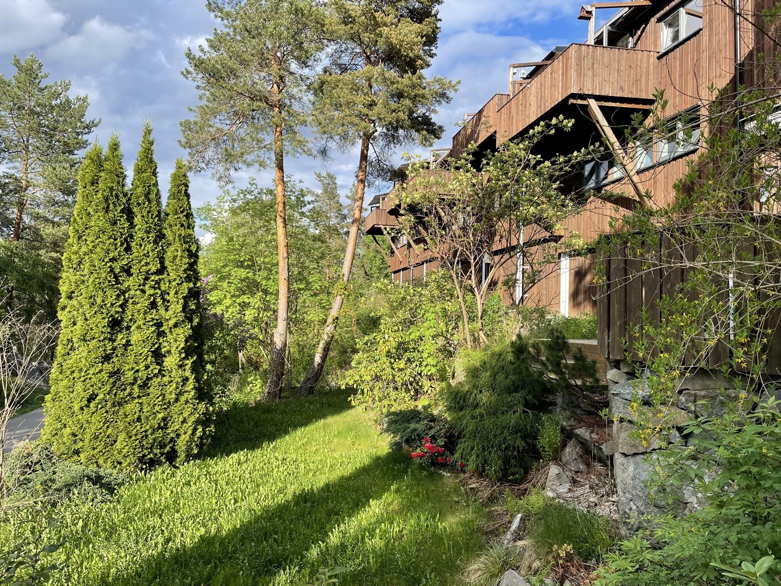 Hage tilhørende bolig. Galleribilde