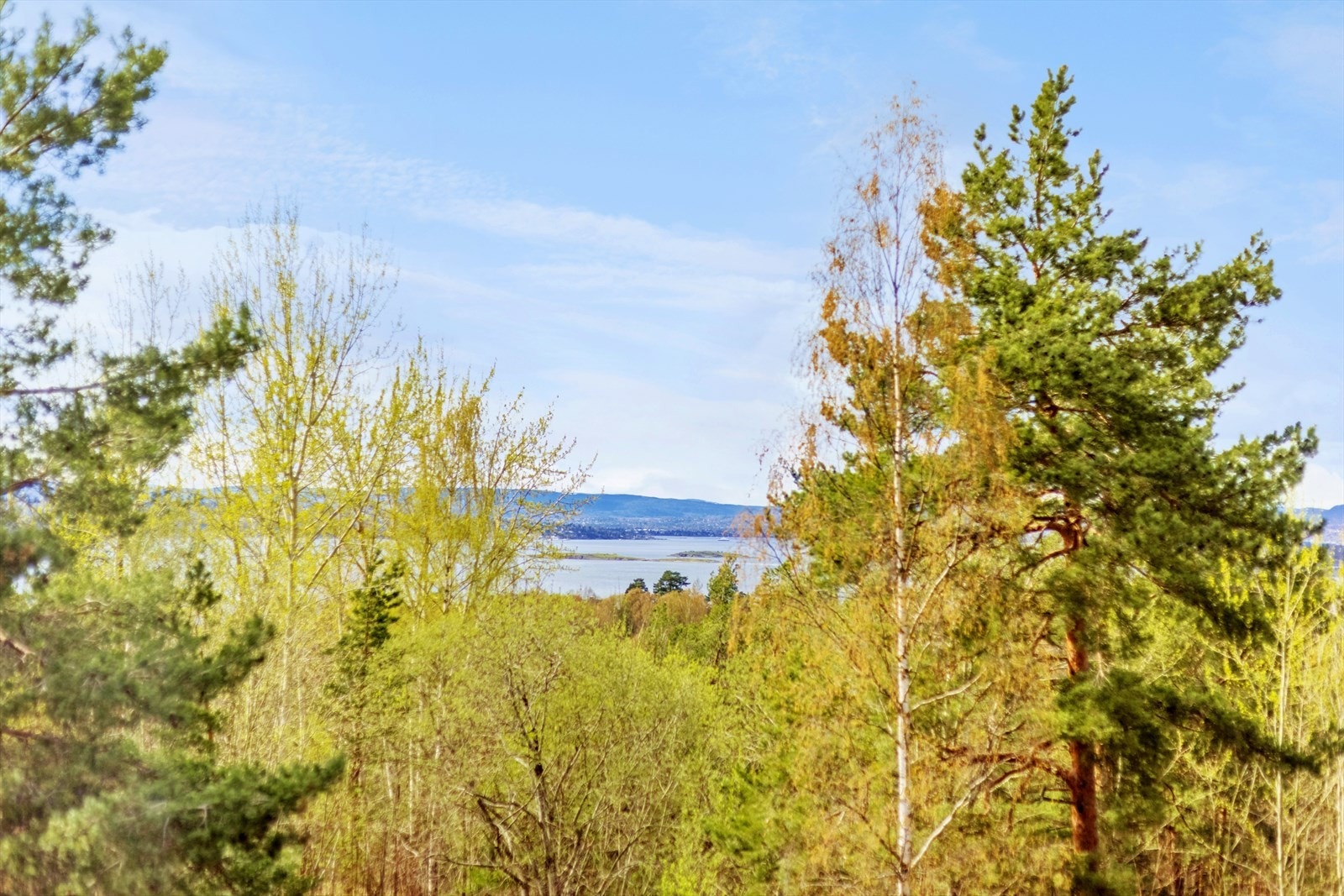 Fra stuen har du utgang til en veranda på ca 10 m² med flott utsikt over natur og sjø. Galleribilde