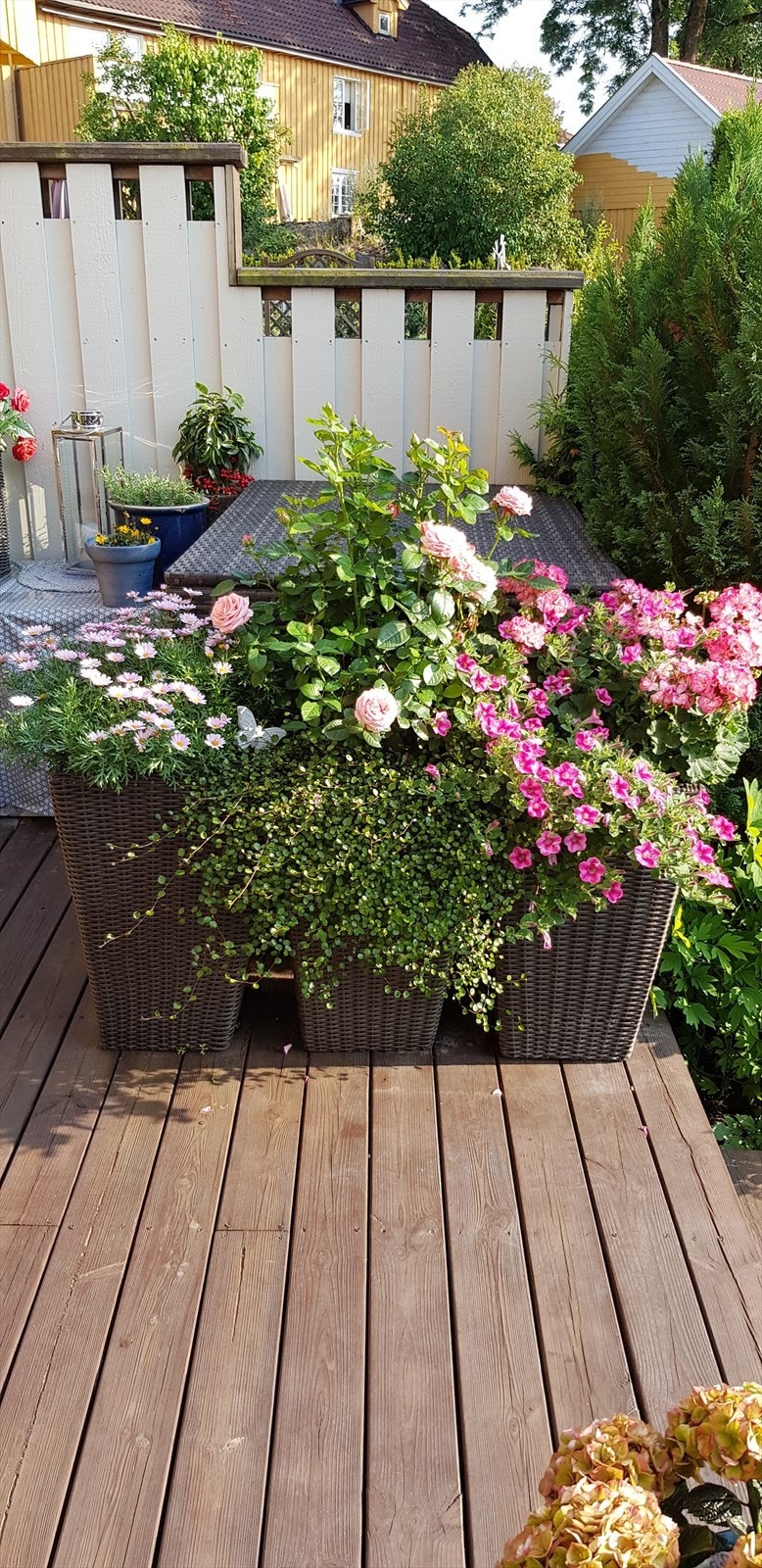 Selgers private bilde. Galleribilde