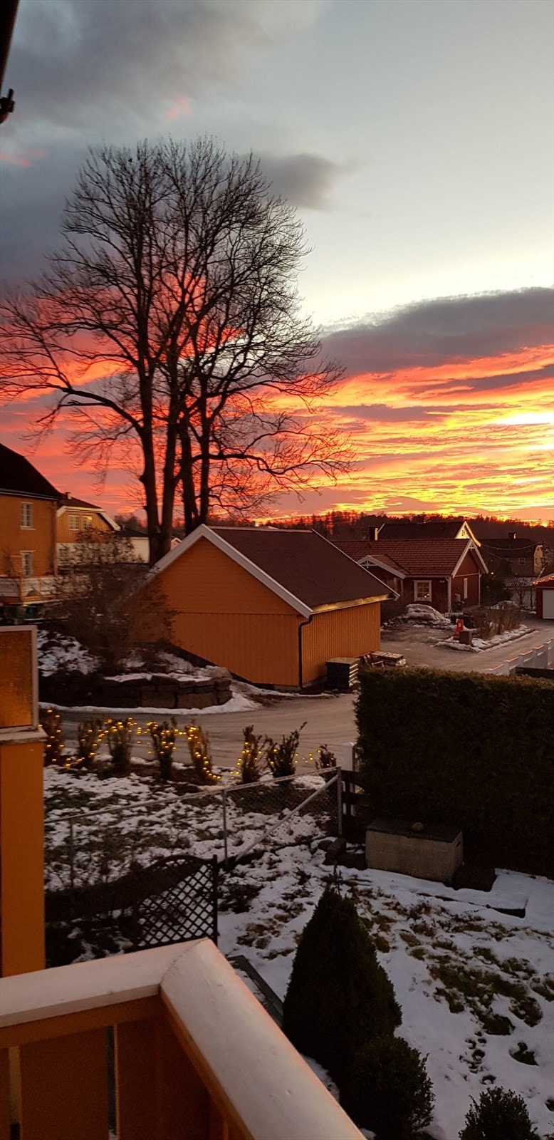 Selgers private bilde. Galleribilde