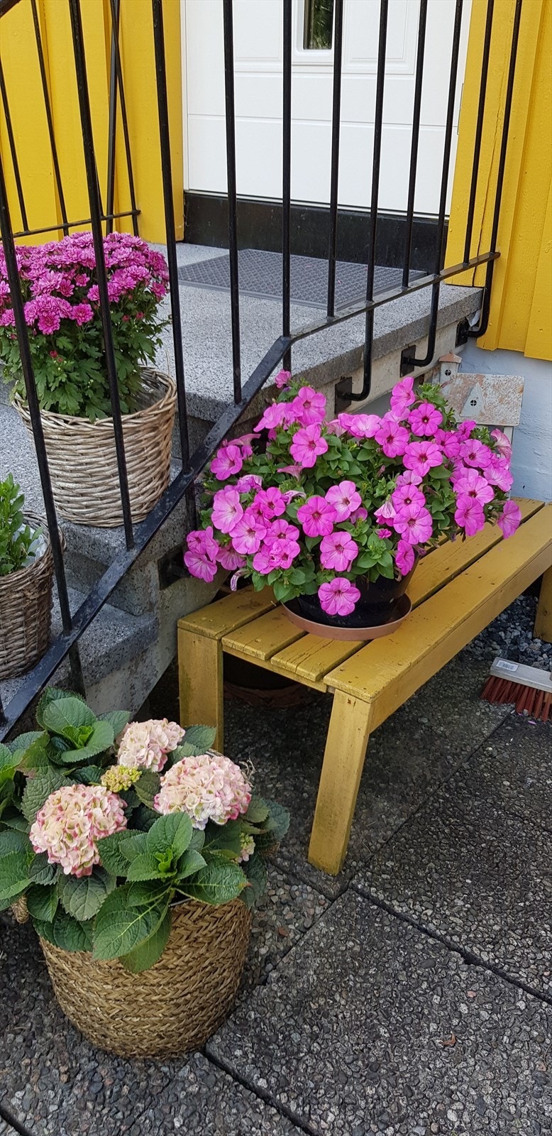 Selgers private bilde. Galleribilde