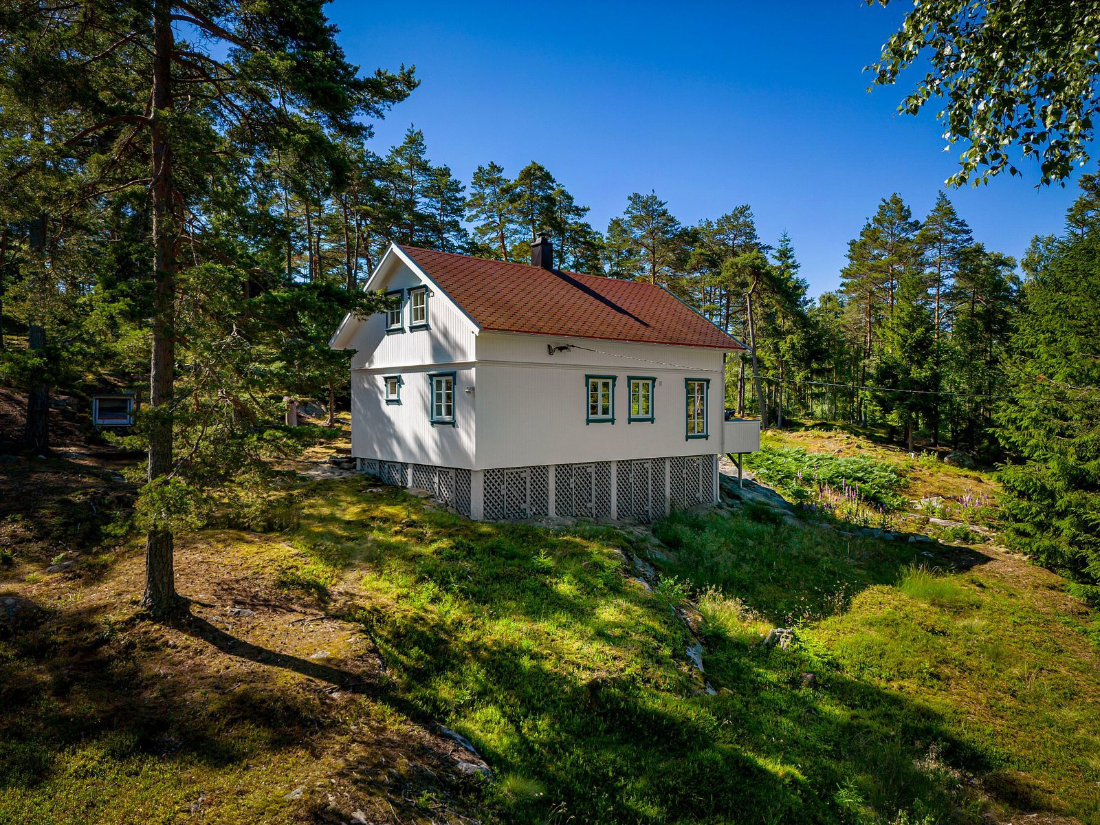 hovedbilde