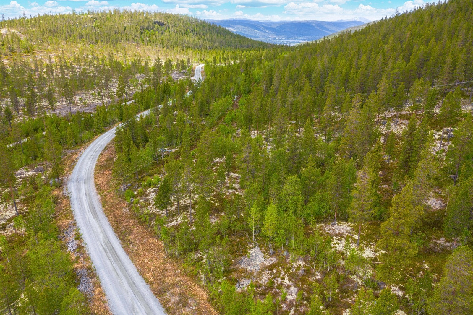Velkommen til Renåfjellveien 292! Galleribilde