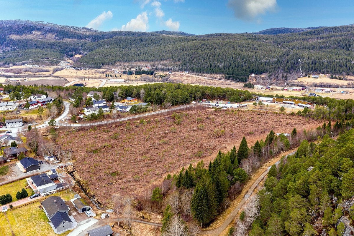 Dronefoto over området Galleribilde