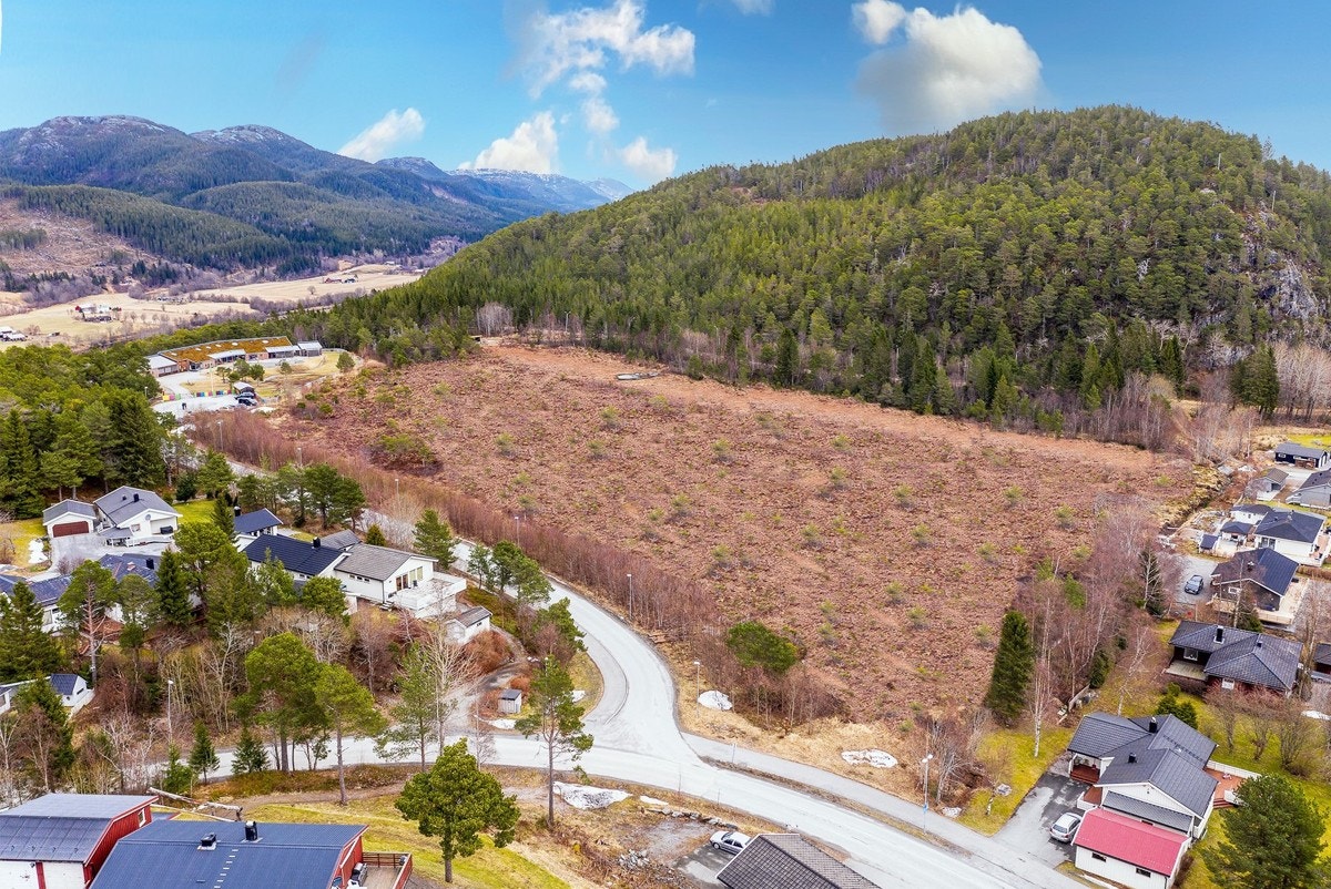 Innkjøringen til boligfeltet og barnehagen Galleribilde