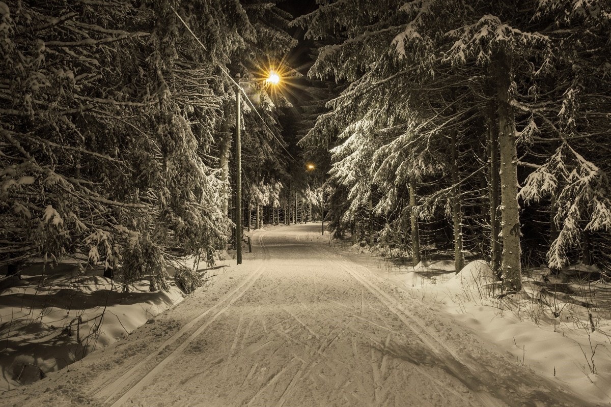 Mange flotte turmuligheter i nærområdet som kan brukes hele året! Galleribilde