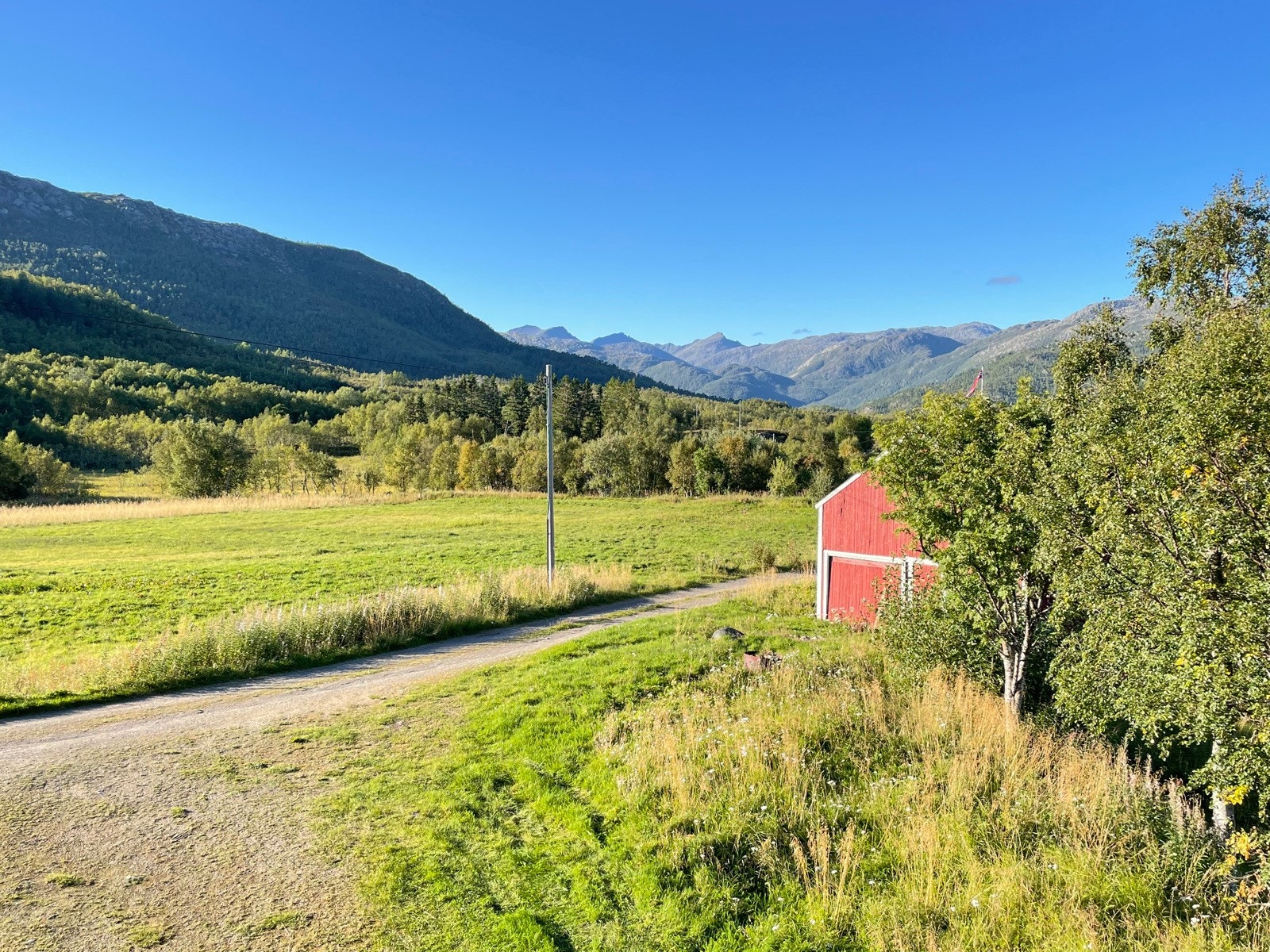 Selgers eget bilde. Galleribilde