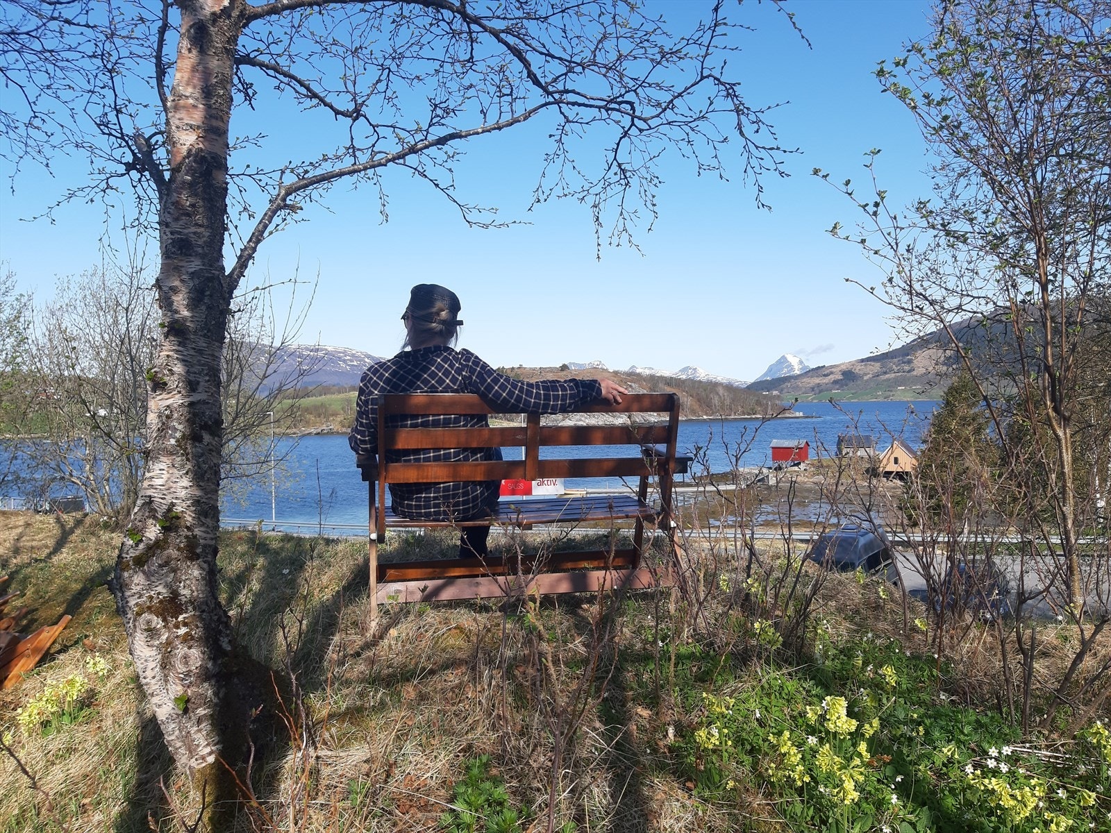 Utsikt mot Nesnalandet Galleribilde