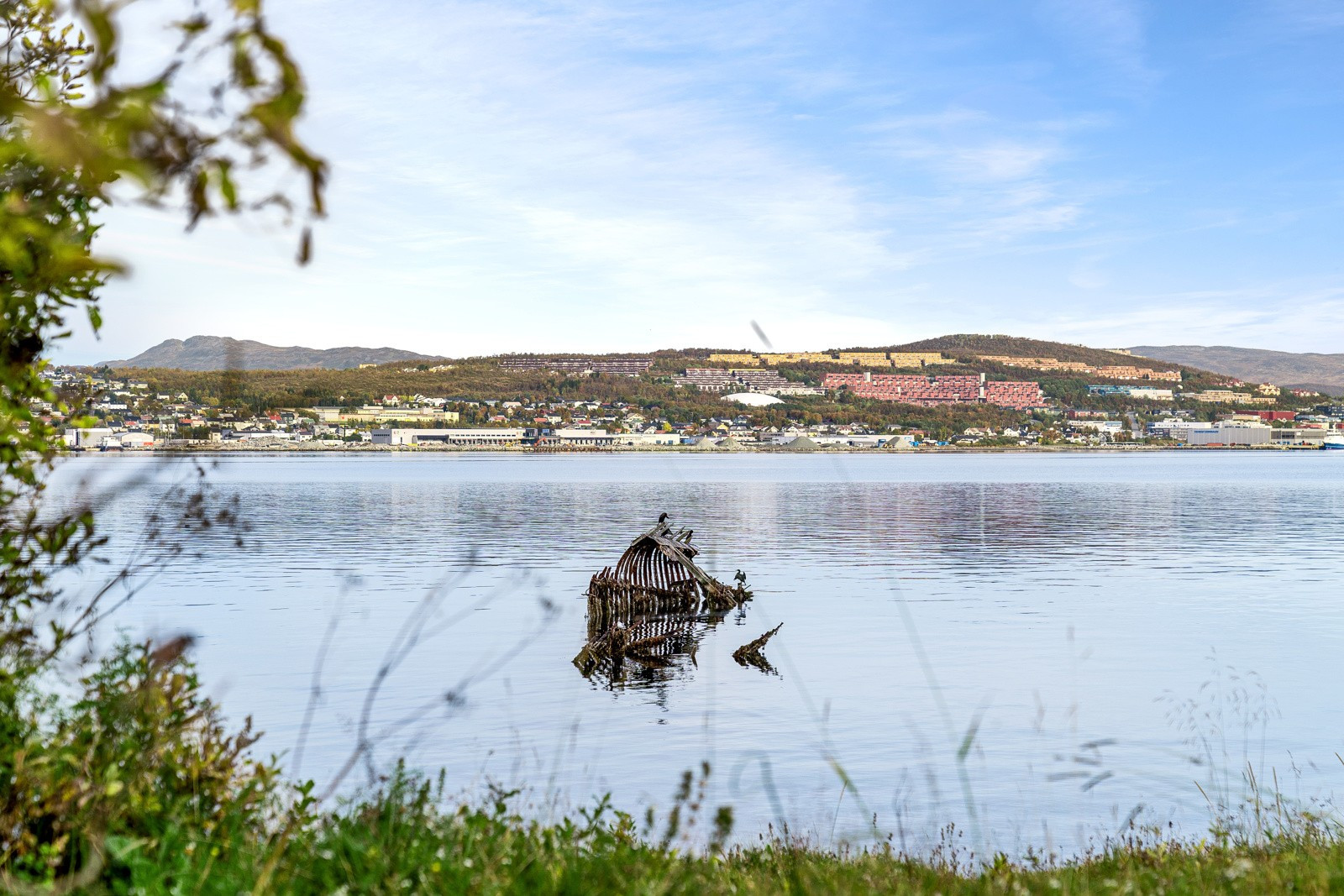 Sjønært og flott område