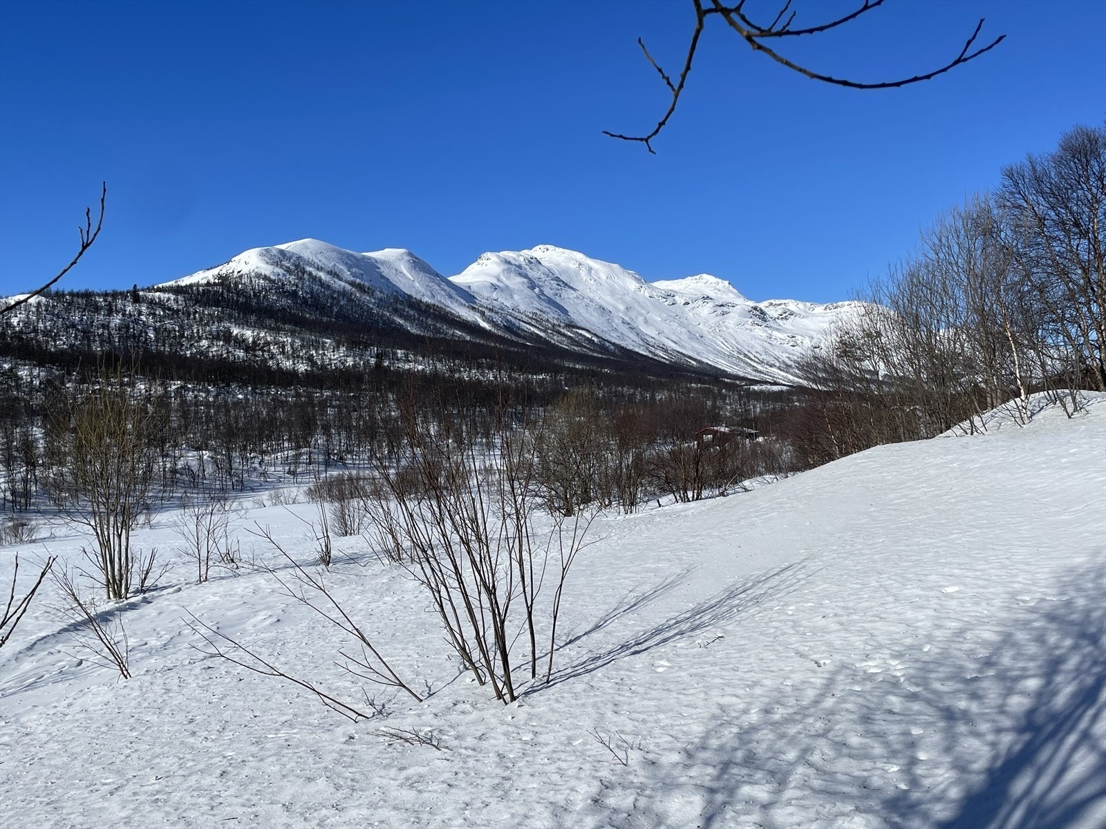Panoramautsikt mot Svarthetta Galleribilde