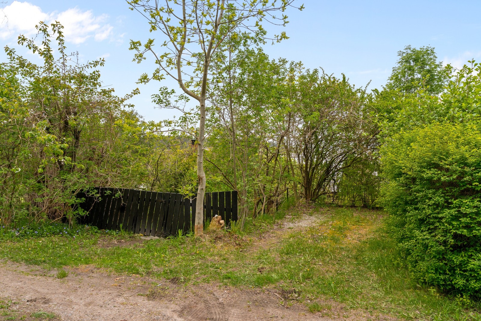 Det er ingen tinglyst p-plass eller etablert p-plass på Nesveien 538 sin tomt. Arving har informert om at eierne har parkert ved denne p-plassen på den nord-østlige plassen utenfor tomten i arvingens levetid 35-40 år. Galleribilde