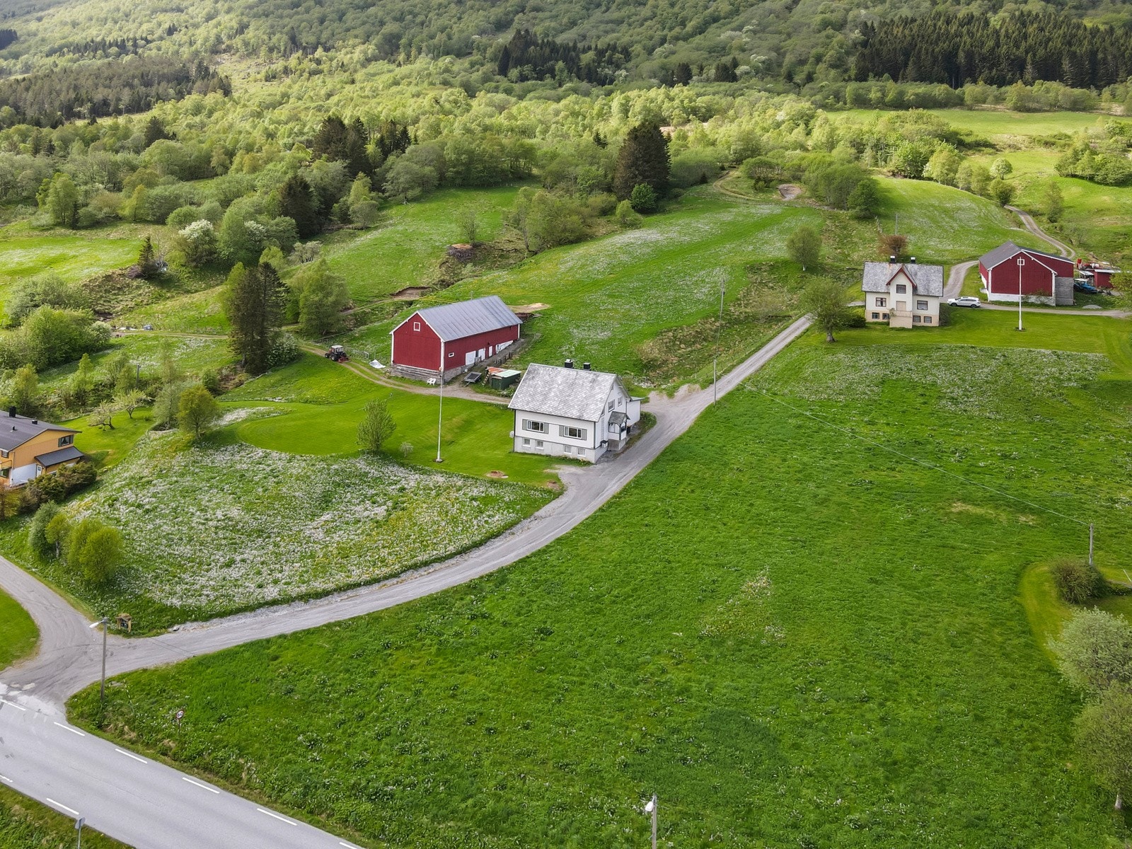 Flotte beitearealer bak løe. Galleribilde