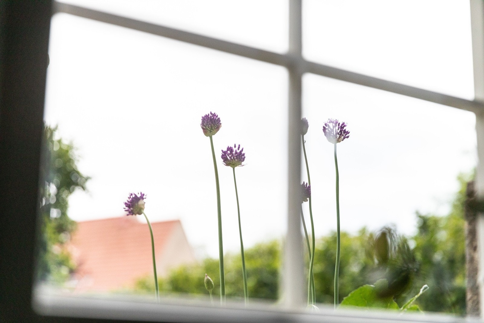 Utsyn fra soverom Galleribilde