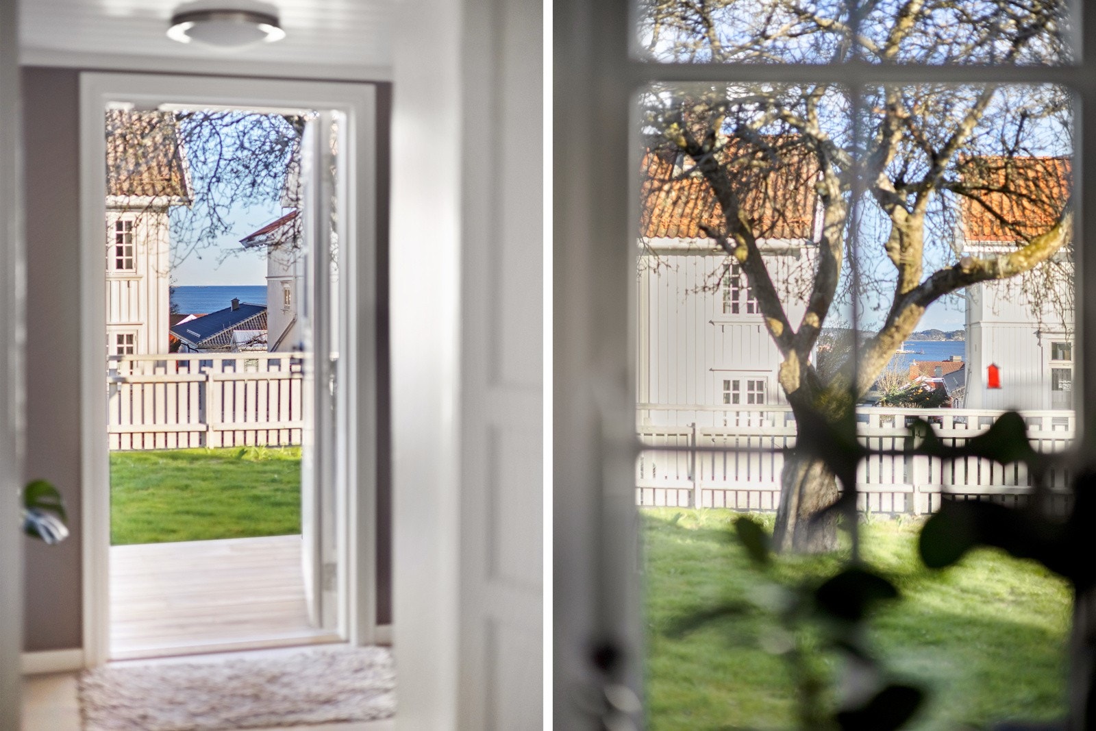 Ved bi-inngangen er det en liten markterrasse med utsikt mot fjorden. Galleribilde