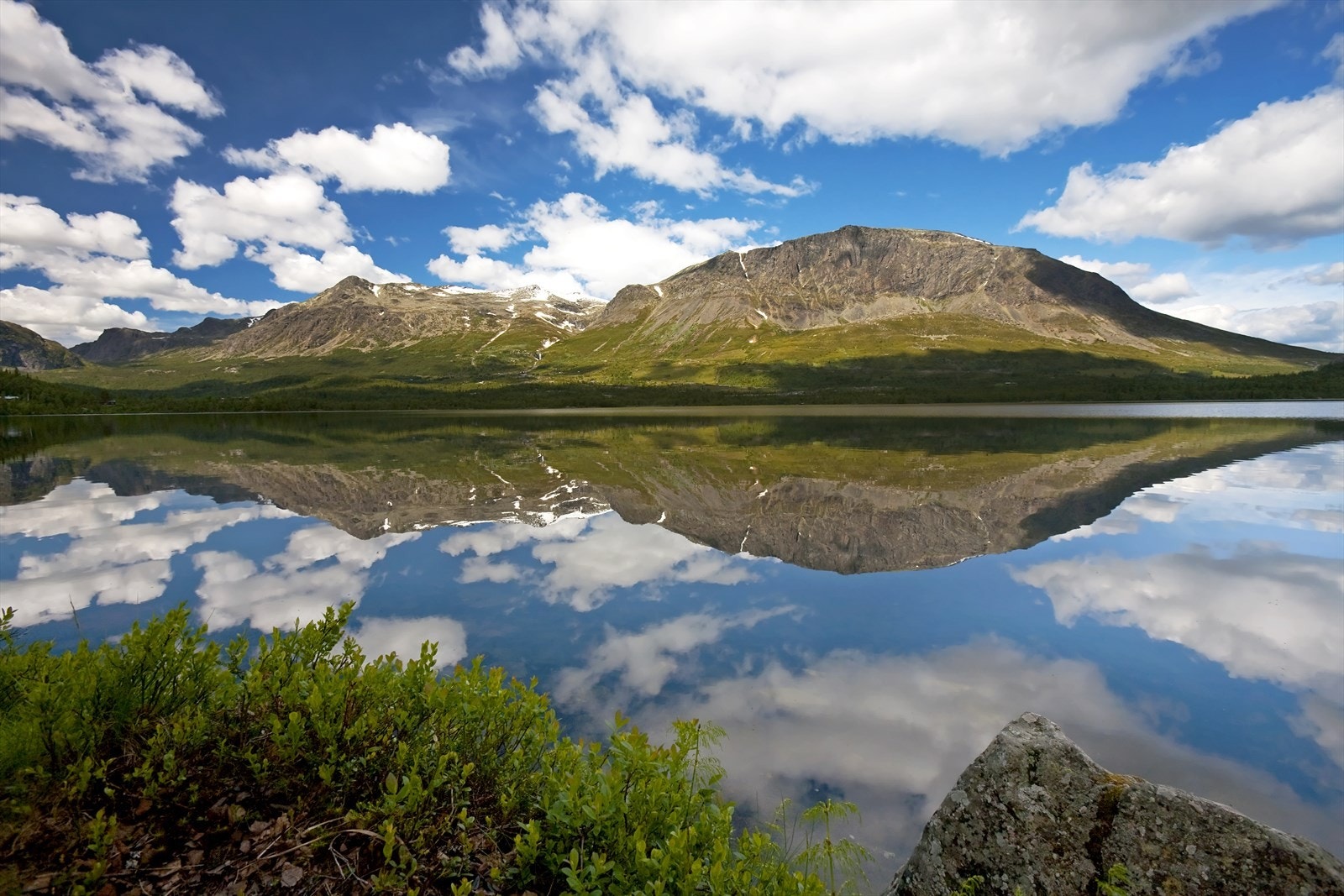 Hemsedal - Skogshorn sommer - Foto_Frank_Tolpinrud. Galleribilde