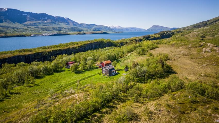 Mot eiendommen Galleribilde