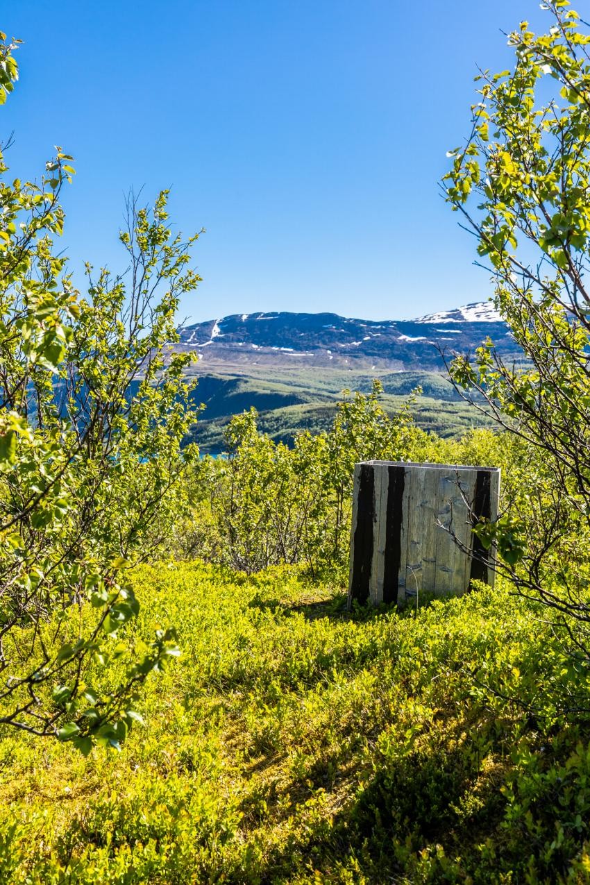 Røykeri Galleribilde