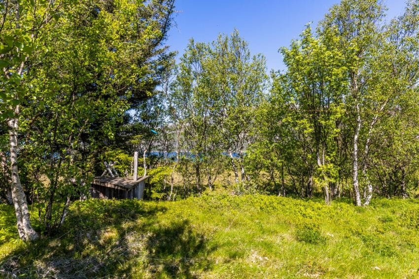 Trehytte med zipline Galleribilde