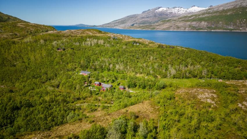 Sundet mellom Handensøya og Nesnahalvøya, Lille-Sjona, er også kjent for godt fiske av torsk, sei, laks, ørret, hyse, sild, makrell og kveite Galleribilde