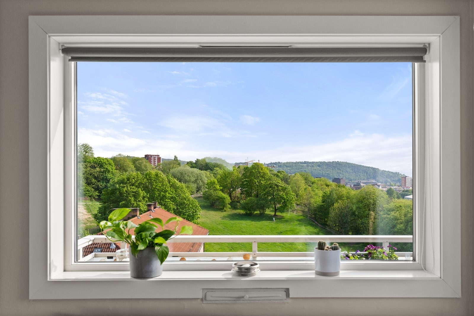 Nyere vinduer fra 2017. Galleribilde