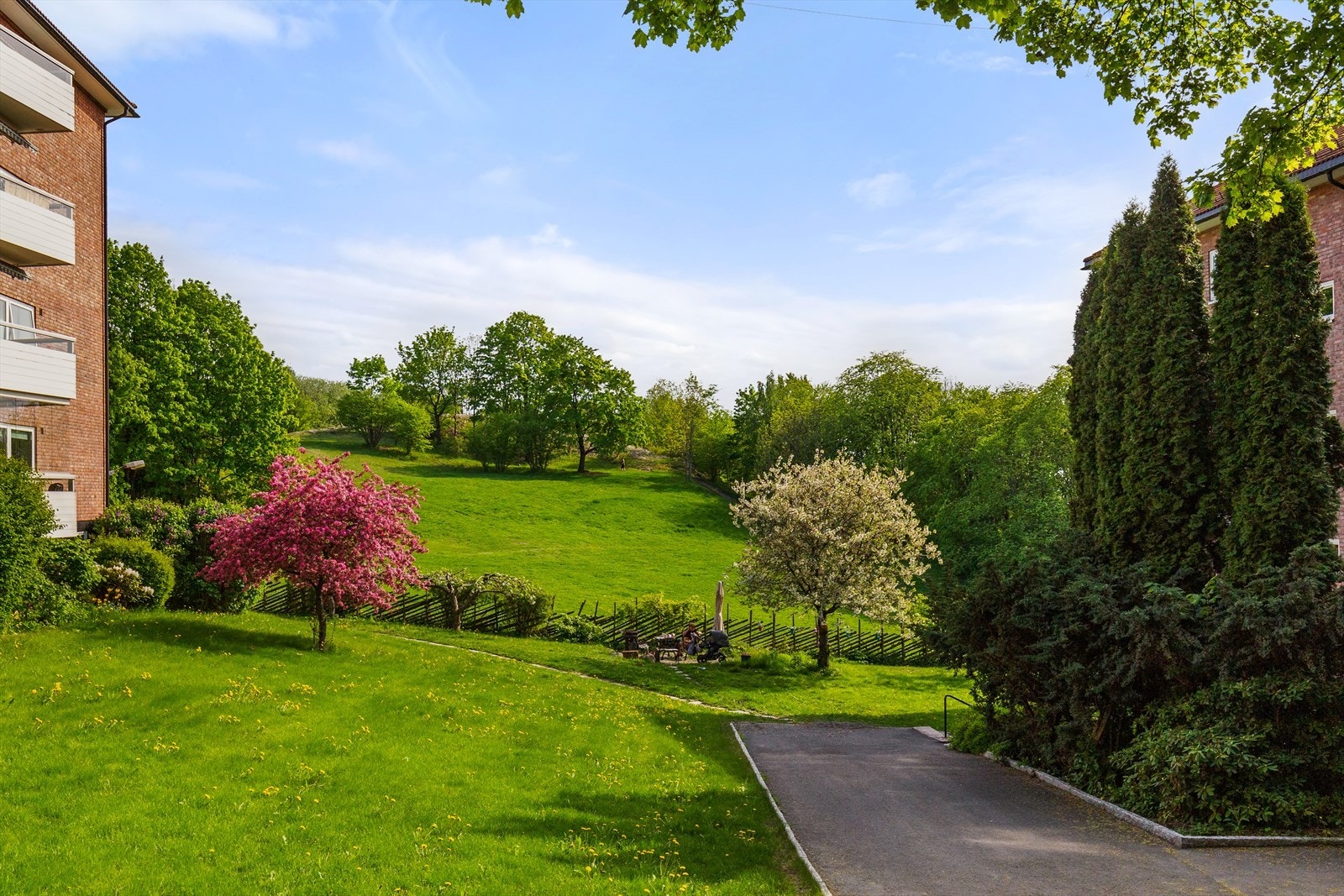 Pent opparbeidet tomt med asfalterte internveier, gressplen, sittegruppe, busker og beplantning. Galleribilde