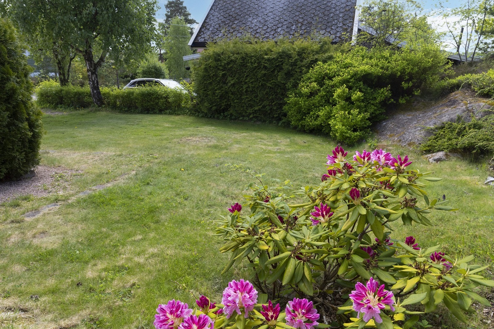 ute-2325 Galleribilde