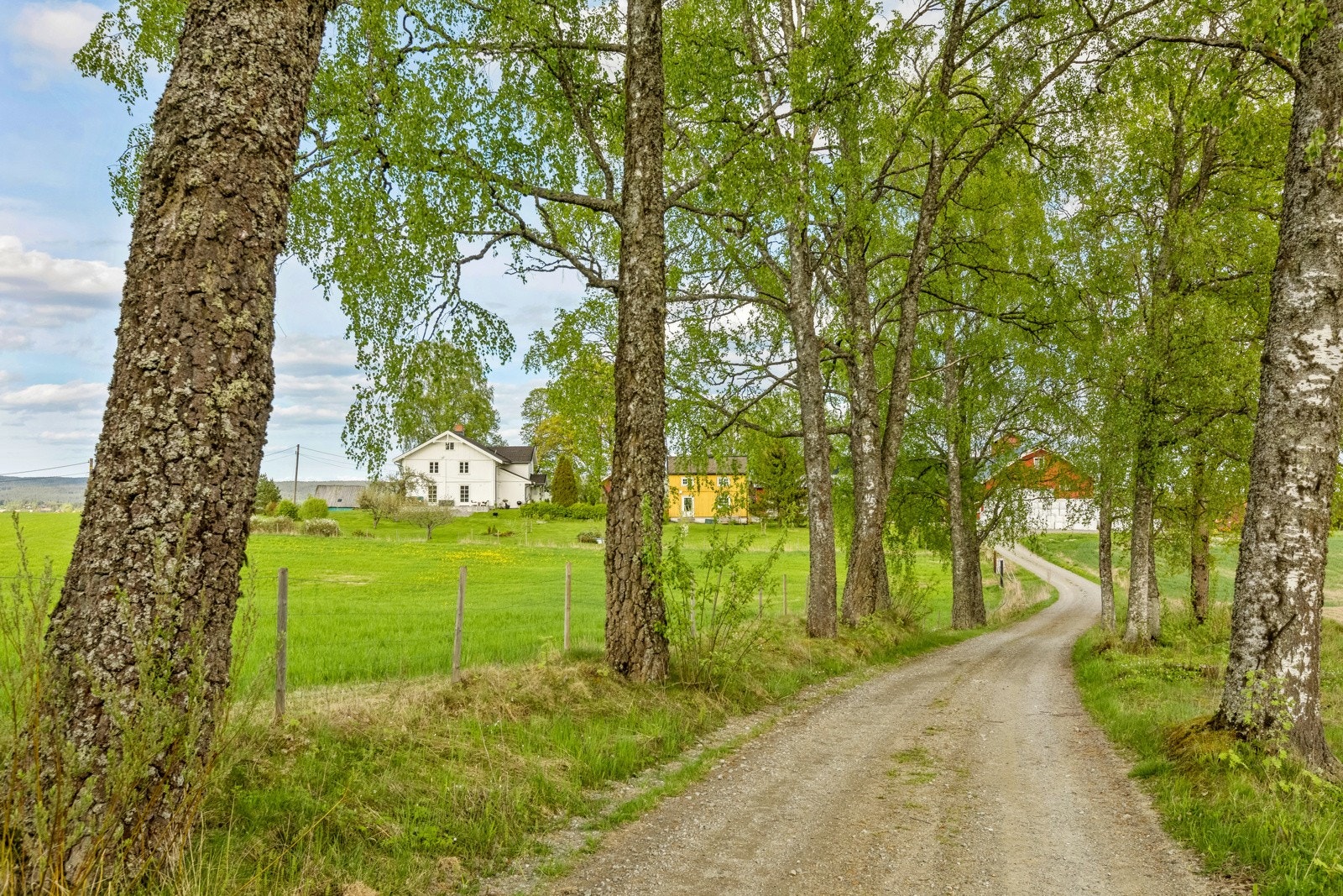 En klassisk allé ønsker det velkommen til gården på rett vis. Galleribilde