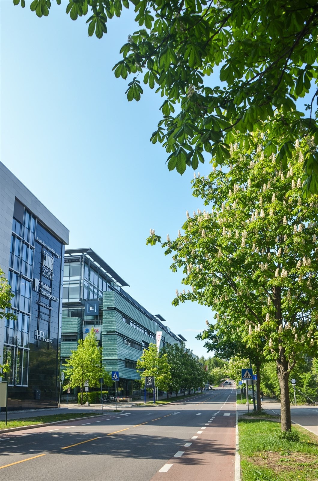 Kort vei til Handelshøyskolen BI og Nydalen. Galleribilde