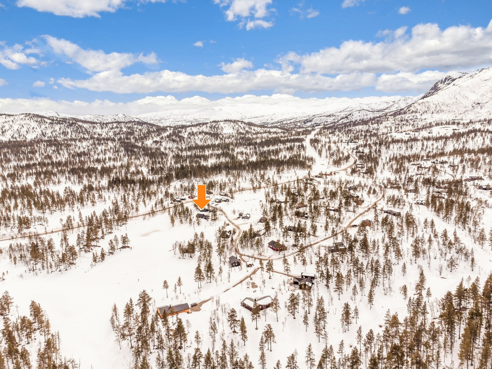 36 Med pil Galleribilde