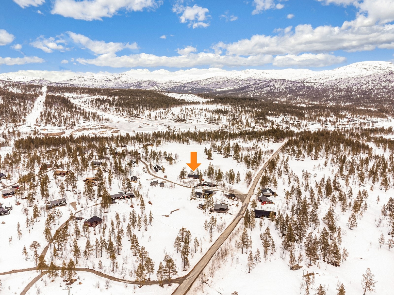 35 Med pil Galleribilde