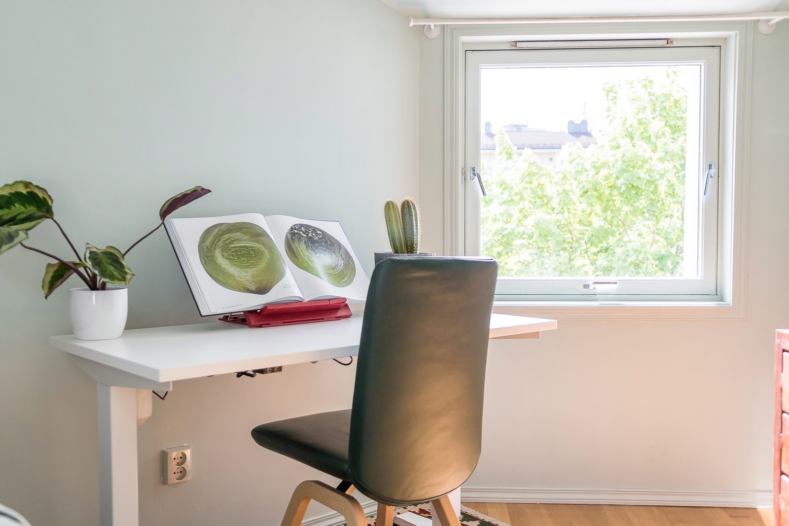 Hele leiligheten vender mot bilfritt, rolig indre tun. Galleribilde