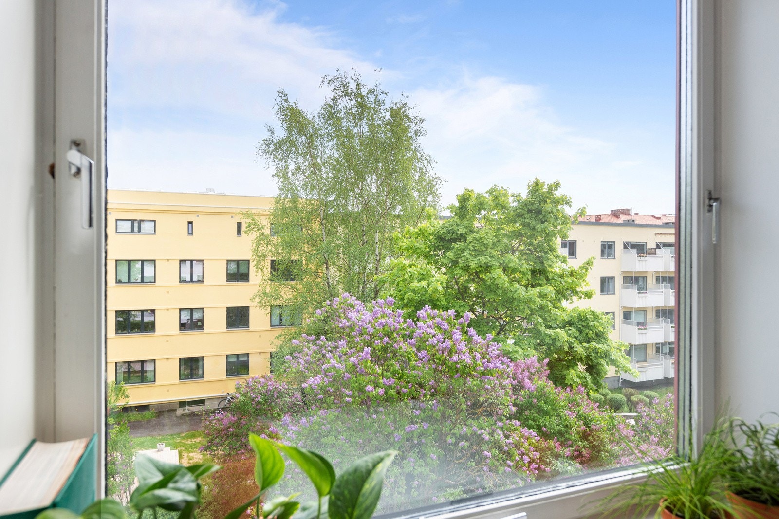 Fra vindu er det fin utsikt mot nabolaget. Galleribilde