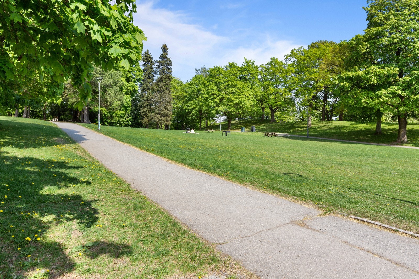 Bjølsenparken Galleribilde